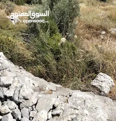  6 أرض ع الشارع الرئيسي لكل الاستخدامات