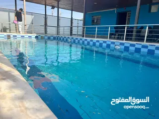  21 شارع الاردن الكمشة العالوك