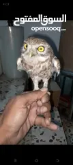  8 حاجات حلوه