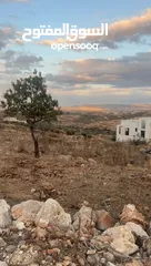  6 فرصة للبيع: أرض 852م2 في الطيبة – جنين، موقع مرتفع وإطلالة خلابة