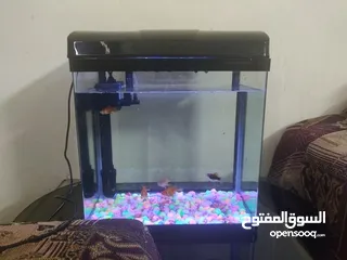  4 Aquarium Tanks With Accessories