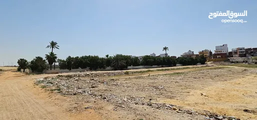  3 أرض فضاء - طريق كارفور - خلف باشا شام - طريق الكورنيش الجديد