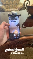  12 آيفون 14 نص تيرا