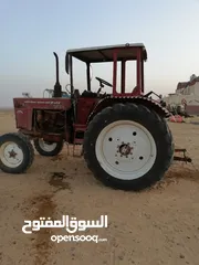  16 1000فدان استصلاح زراعى من المحافظه مباشر مشاركه بالزراعة