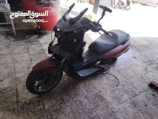  10 شصيات للبيع