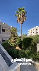  4 فيلا عائلية فاخرة / في أرقى واجمل مناطق خلدا ، باجرة مغرية / اعلان رقم (V6)