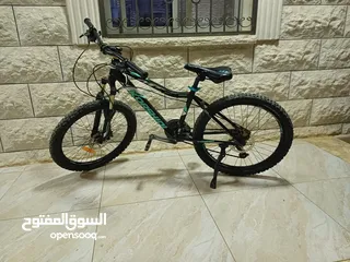  1 بسكليت كورشيد جبلي