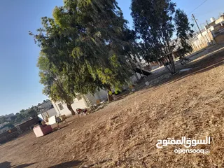  6 اعلان بيع منزل السيد سامي دبيس