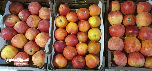  1 Fresh Iranian Apples - Bulk Sale with Delivery! 3kg box!