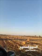  4 بالات تبن قمح للبيع