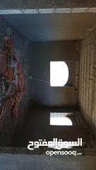  11 فيله للبيع