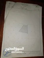  2 قطعة ارض دنم ونص في الشونه الجنوبيه