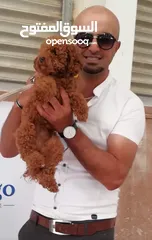  1 توي بودل متوفر ياسر الزعبي