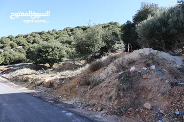  2 ارض للبيع ماحص مساحة 500 م عالية مطلة بالقرب من بدر الجديده تبعد عن دوار ام الاسود 3 دقائق