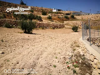  8 ارض باطلالة مميزة في صوريف أول أبوشوك زفتة وكهربا لباب الأرض