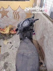  1 شصيات للبيع