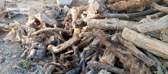  26 حطب زيتون زند وقرمي ناشف حطب لوزيات ناشف