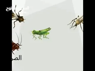  4 شركه اتحاد المقاولون الخليجيه لمكافحه الحشرات