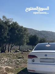  5 Golf ebroa 2019