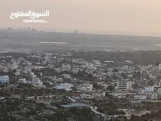  28 شركة عقارات اطلالة على البحر