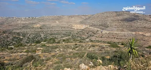  2 قطعة أرض للبيع  في عطارة رام الله