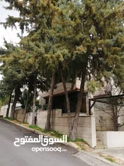  2 بيت مستقل في ضاحية الرشيد مكون من طابقين منفصلين بناء قديم بحاجة الى تجديدمساحة الارض 395 البناء 350