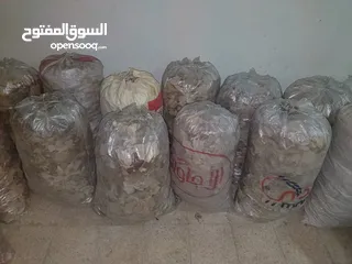  2 خبز يابس للحيوانات