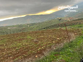  5 للبيع منبسطه واصل الخدمات اطلاله رائعة منطقة مزارع وشاليهات فخمه.