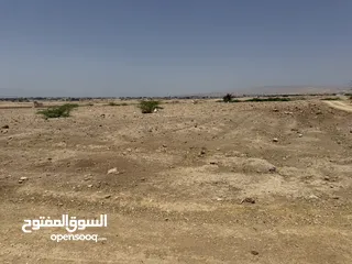  7 للبيع ارض في منطقة البحر الميت