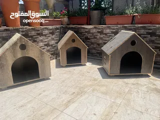  10 بيت للكلاب او القطط خشب لاتيه 18 قوي ومتين عده موديلات وألوان