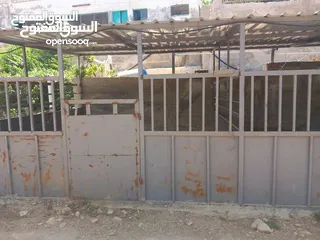  6 غرف خيل حديد