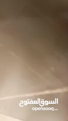  31 شاليه بمواصفات فاخره في البحر الميت للبيع