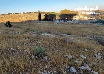  4 أرض مميزة للبيع في دورا – 1125م2 – موقع مرتفع وخدمات كاملة قريبة من الأرض