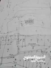  4 فرصة استثمارية مميزة في عصيرة  الشمالية!