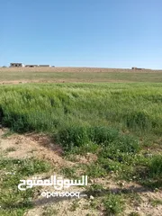  4 أراضي جنوب عمان (1,500)الدونم
