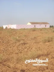  3 أرضيه زراعيه واستثماريه