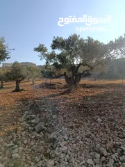  3 ارض للبيع في كوبر