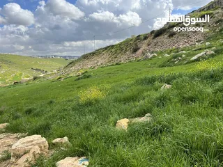 1 الفزره 525 م سكن ج