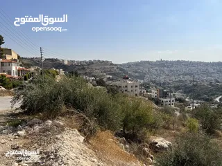  5 (1)ارض للبيع في الرباحية الجنوبية بمساحة 599 متر منطقة جديدة و هادئة جداً فلل جديدة