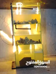  1 حوض سمك مع كامل معدادو