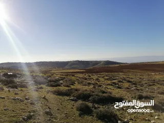  1 قطعة ارض بسعر مميز في اليادوده حوض الحنو