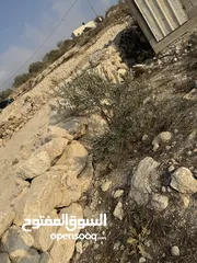  4 ارض للبيع (عقار)