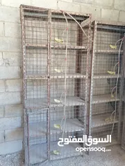 2 موجود 6 قنون ممتازات للبيع