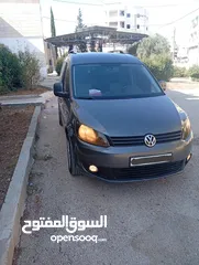  5 كادي شصي قصير سعر حرق على الكاش 53
