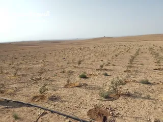  13 عشره دنمات للبيع