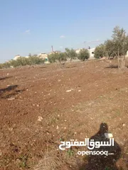  3 ارض للبيع بسعر مناسب جداً