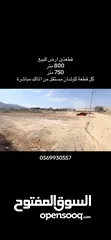  1 اراضي للبيع في اريحا