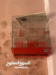 11 فراخ كوكتيل للبيع+قفاص مستعمله شبه جديده جديده قابل للبدل ع كوكتيل شغالات