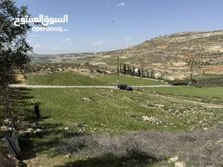  1 ارض للبيع قرمية حسبان 3100 متر لكامل القطعة قابل للأقساط