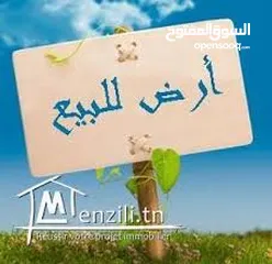  3 ارض للبيع بخلة الدار